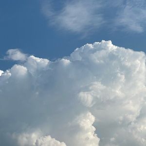 Meet your Posher, Elena